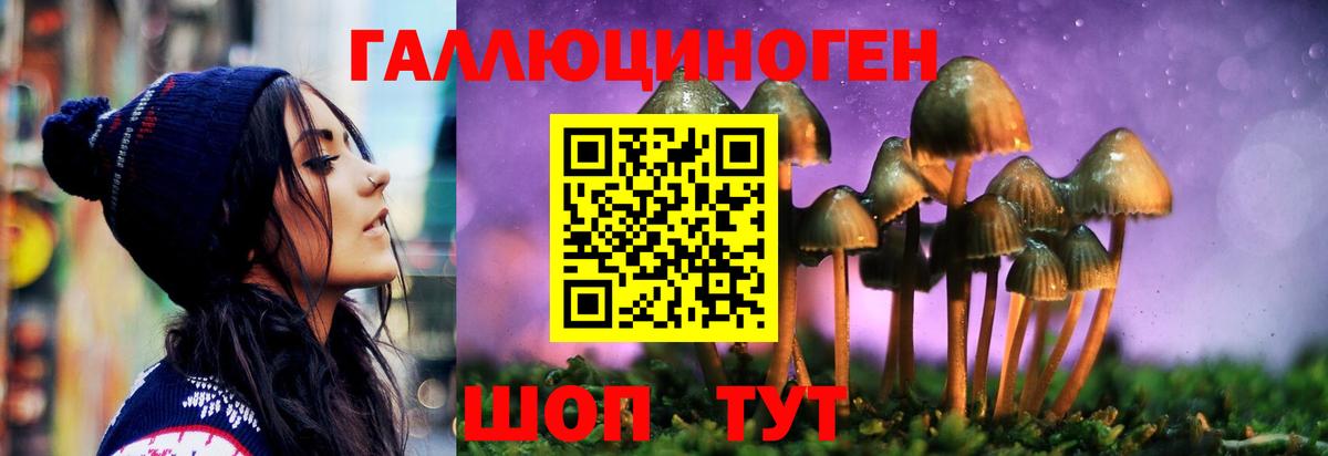 Галлюциногенные грибы Magic Shrooms  купить   Галлюциногенные грибы прущие грибы  Алапаевск  Вход с VPN 